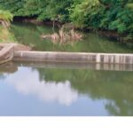 ग्रामपंचायत घिमणिया धरण